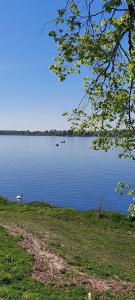 Квартира у реки