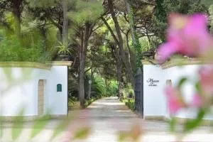 Maison D'Enrì - غالّيبولي