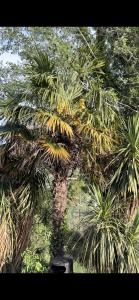 Campings La Teranga : photos des chambres