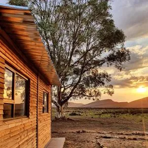 Die Bloekomhuis - Lochlynne