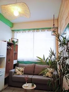 CHAMBRETTE boulevard des Pyrénées Hypercentre 10m carré WC sur le palier, porte40 - Rontignon