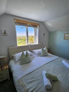 Four Winds B&B StDavids