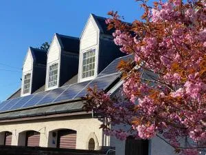 WHITEHILL STABLES - Blitterlees