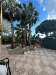 Villa Azzurra Fronte Mare img15