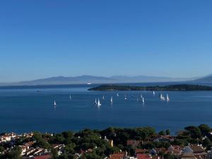 Terrace Urla