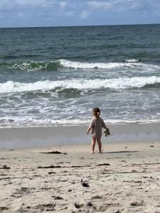 Maisons de vacances La petite maison de Celestine : photos des chambres