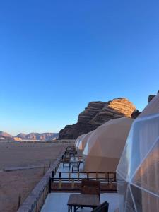 Bedouin life Camp