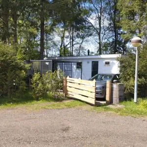 Chalet met veel privacy in bosrijke omgeving - Anderen