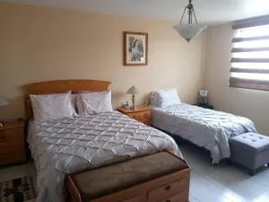 Vive las tradiciones de Puebla. - San Felipe Tenextepec