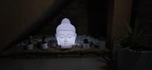 Appartements Honey Moon - studio romantique Jacuzzi et ecran cinema : photos des chambres