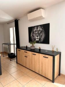 Villas Lion house : photos des chambres