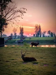 McQuillan's Homestay and Resort - Ban Nong Ban Kao