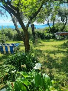 Patty's Cottage - ليريسي