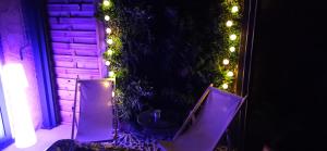 Appartements Honey Moon - studio romantique Jacuzzi et ecran cinema : photos des chambres