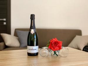 Griseo - Sicily Vista