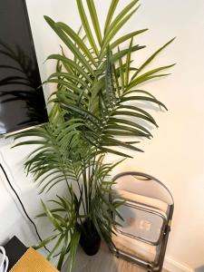 Lovely self contained studio now available