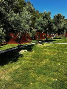 Obelix Bungalows