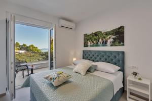 Family friendly apartments with a swimming pool Podgora, Makarska - 11937