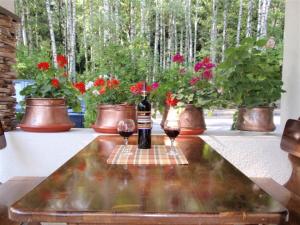 Family Hotel Emaly 2