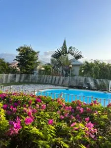 Appartement cosy Palm&Sable - Lazaret