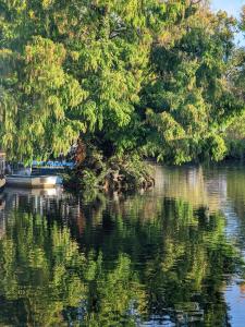 Tulana Taggs - floating home on idyllic island