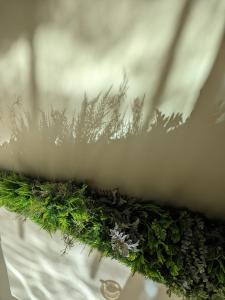 Tulana Taggs - floating home on idyllic island