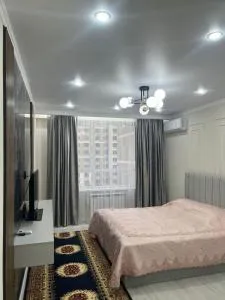 Однокомнатная квартира на ЖК Sensata City - Zhanaturmys