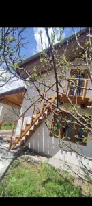 Nomads abode