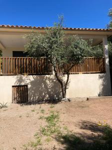 Maisons de vacances Villa 4 personnes - 2 chambres - Figari : photos des chambres