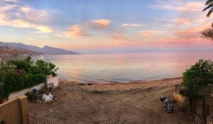 SHANTY HOUSE Apartment