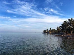 SHANTY HOUSE Apartment