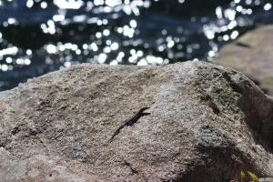 Chalet vue imprenable sur lac et pistes