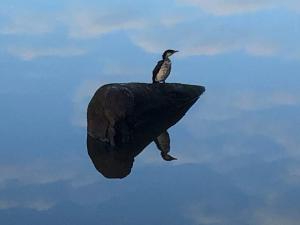 Tranquil 2 bedroom Garden Apart