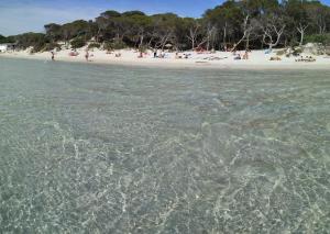 Seaside Garden 1 img15