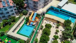 Catty Cats Garden Hotel