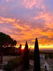 Appartements Le Petit Jardin : photos des chambres