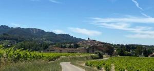 Appartements Le Petit Jardin : photos des chambres