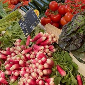 Appartements Le Petit Jardin : photos des chambres