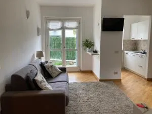 La Piana Vigezzo Santa Maria Maggiore Piano Terra con giardino - Druogno