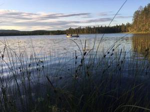 Schwedisches Bauernhaus