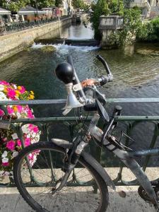 Appartements Le Petit Jardin : photos des chambres