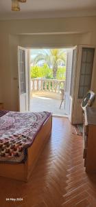 Paradise Villa - King Mariout