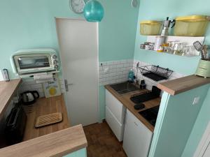 Studio lumineux et fonctionnel, animaux acceptés! - FR-1-555-10