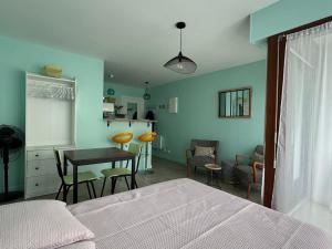 Studio lumineux et fonctionnel à Aix-les-Bains, animaux admis - FR-1-555-10