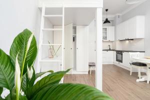 Kazimierz District - Starowislna 43