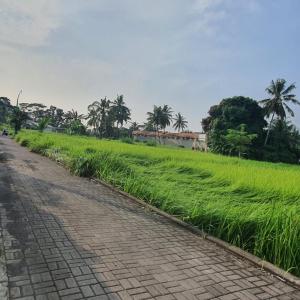 Naturale Villa Ubud, Bali