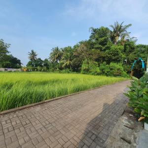 Naturale Villa Ubud, Bali