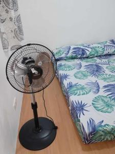 tadzmahal home