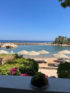 Domina coral bay Beach and lake direct view 3