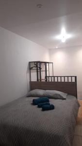 Appartements 1- appartement duplex 44 m2 : photos des chambres